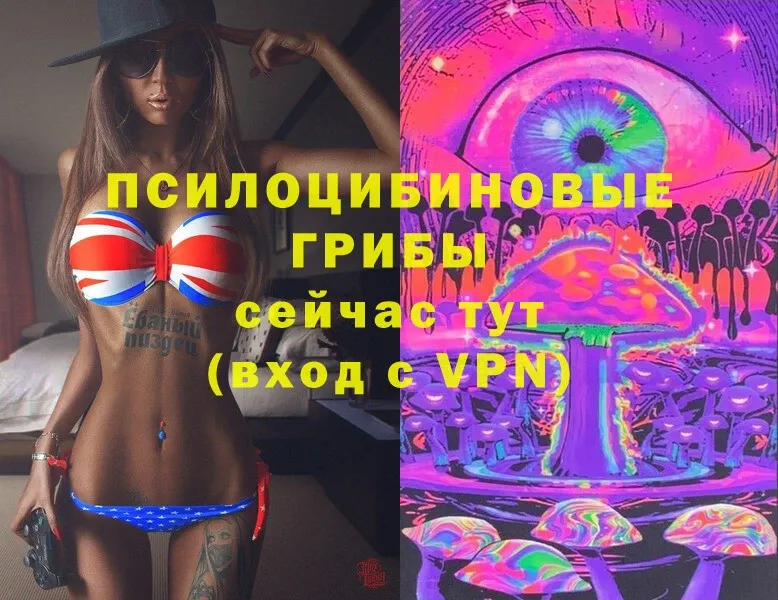 Псилоцибиновые грибы Magic Shrooms  OMG как войти  Арск 